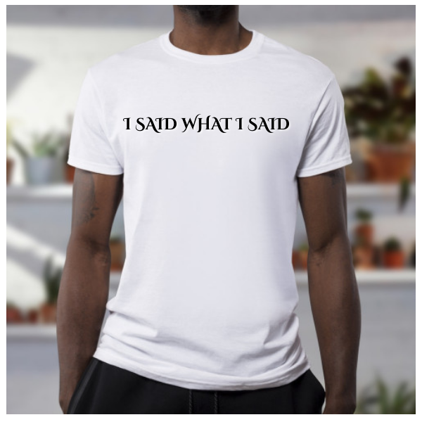 I Said What I Said! Sassy shirt, Sarcastic tshirt