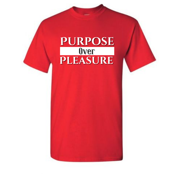 Purpose Over Pleasure t shirt, inspirational shirt, faith shirt, Christian shirt