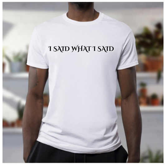 I Said What I Said! Sassy shirt, Sarcastic tshirt